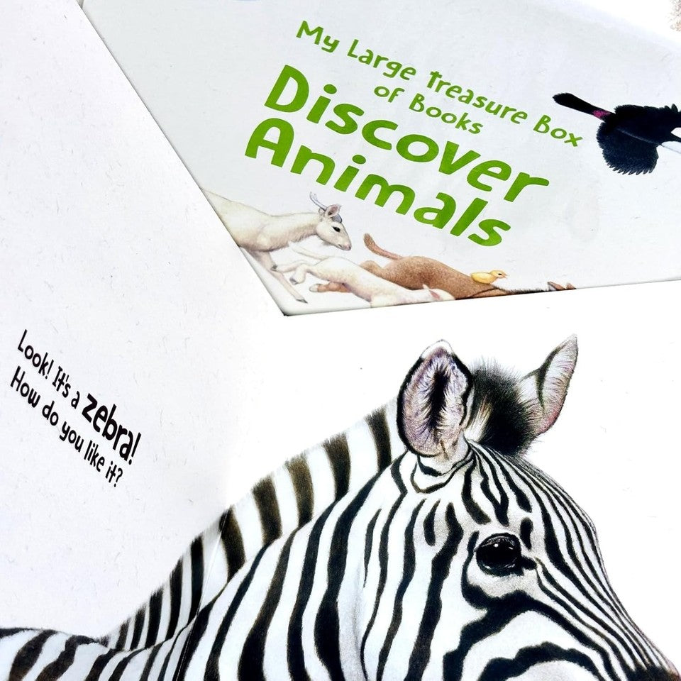 My Large Treasure Box of Books: Discover Animals Includes 8 Books Collection Set