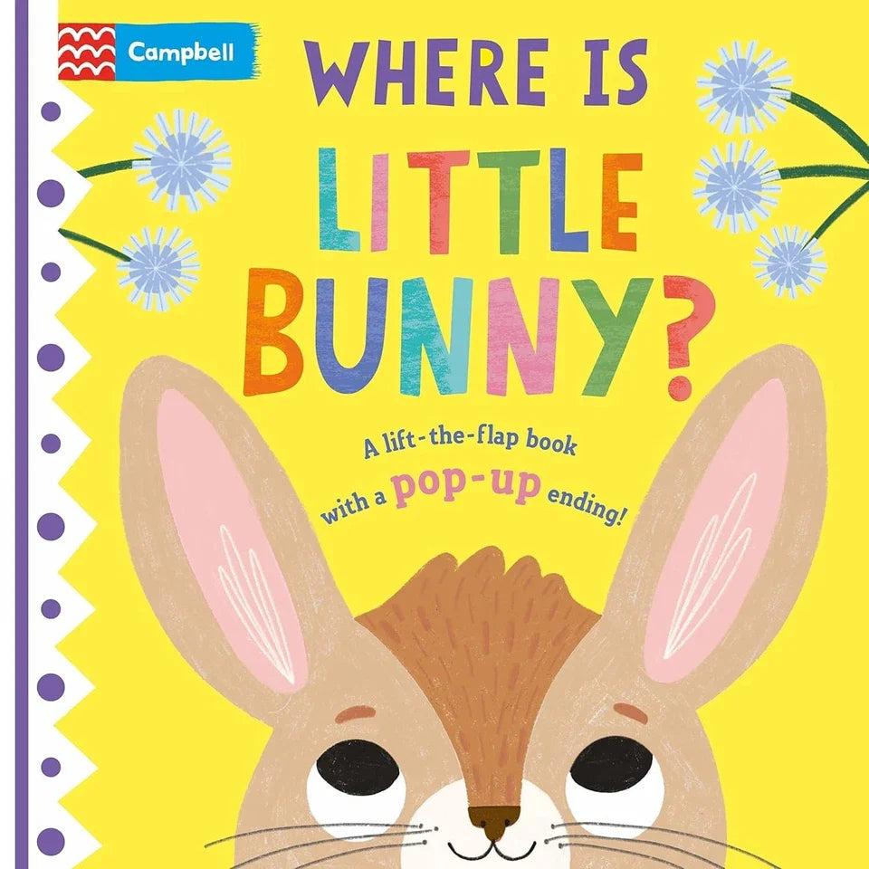 Where is Little... Series 4 Books Collection Set By Campbell Books (Where is Little Elephant?, Where is Little Tiger? & More)