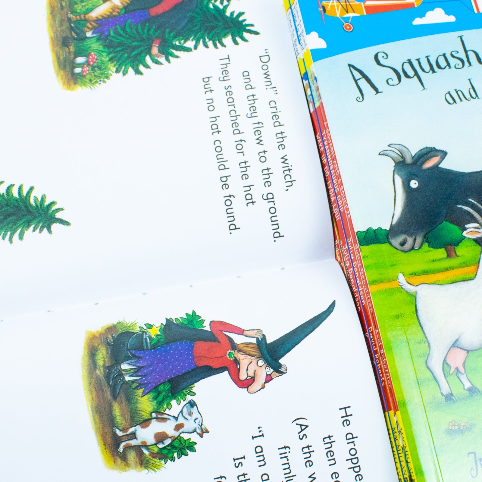 Time To Read Collection 7 Books Set By Julia Donaldson (What the Ladybird Heard)